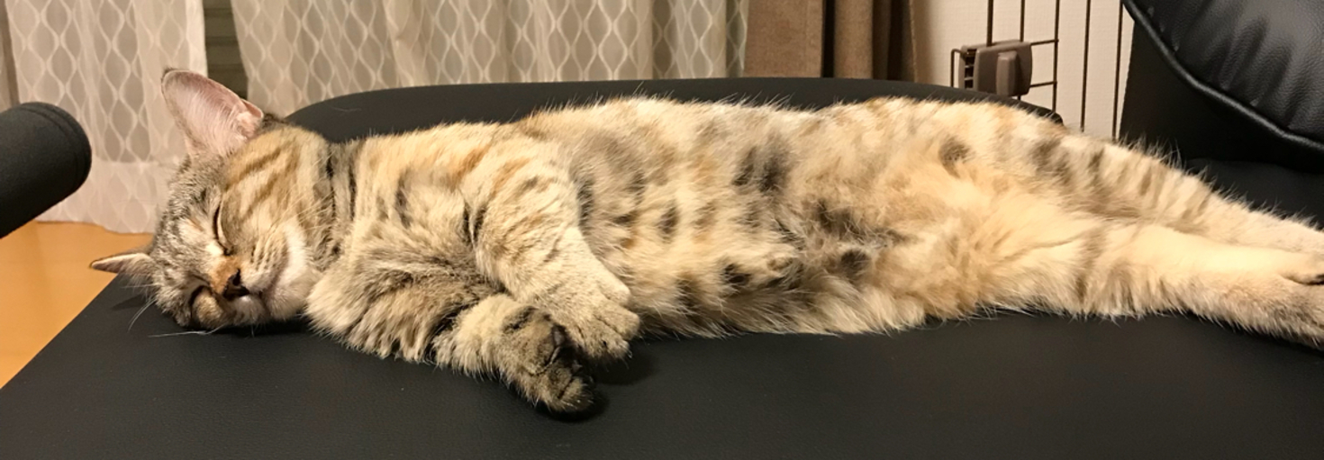 レビュアーのカバー画像