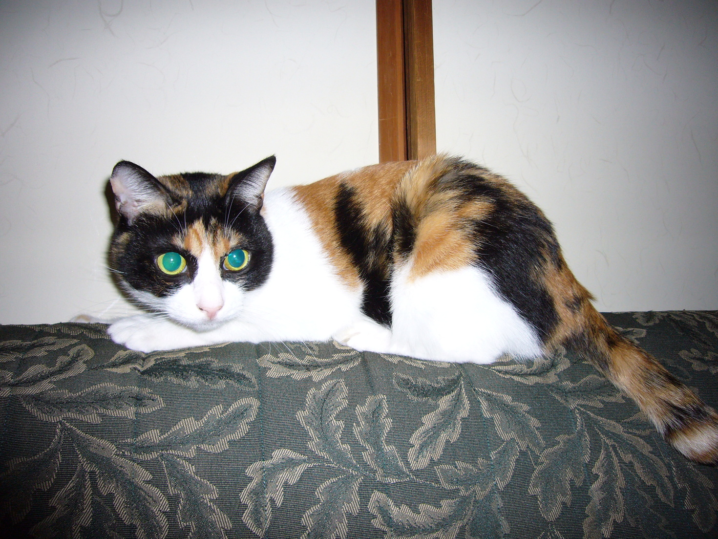 レビュアーのカバー画像