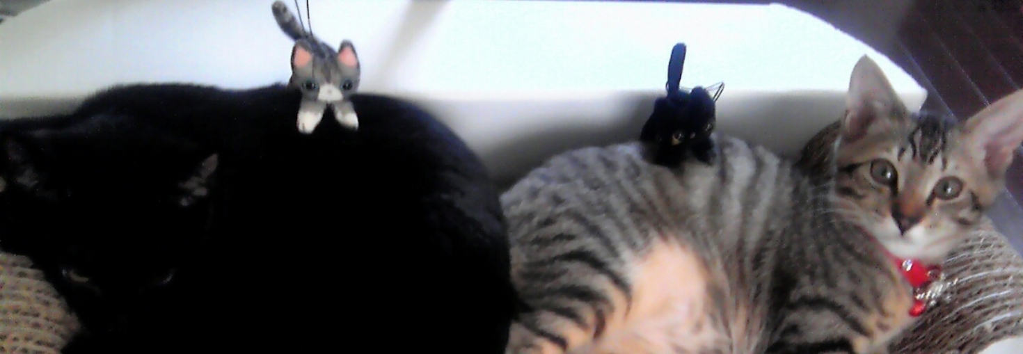 レビュアーのカバー画像