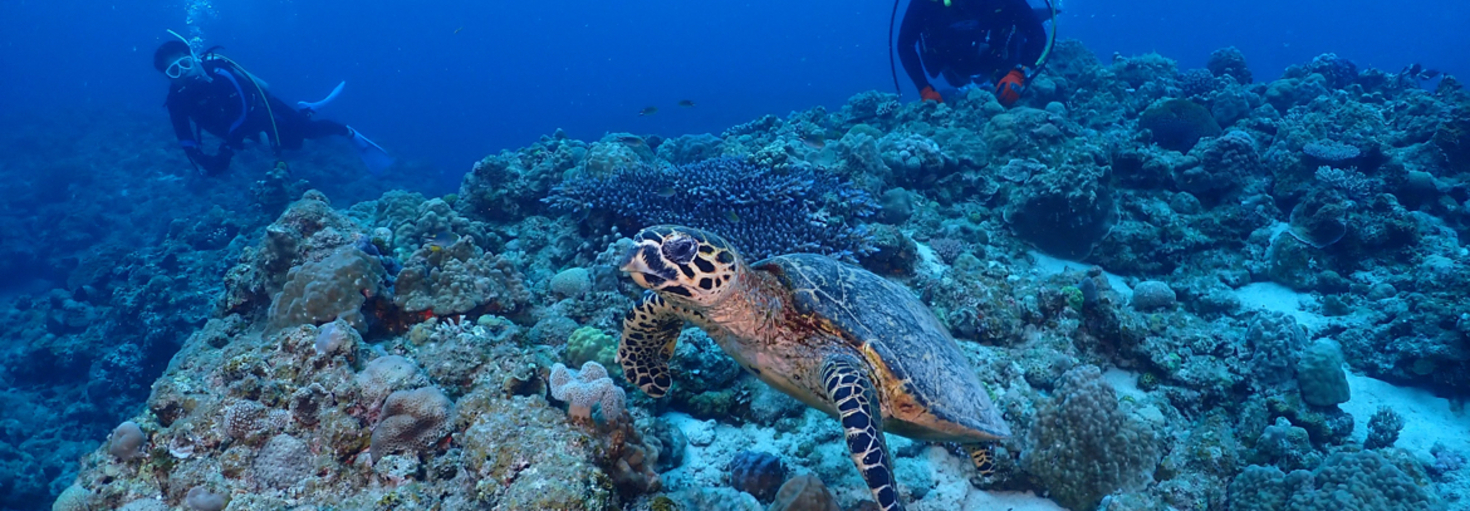 レビュアーのカバー画像