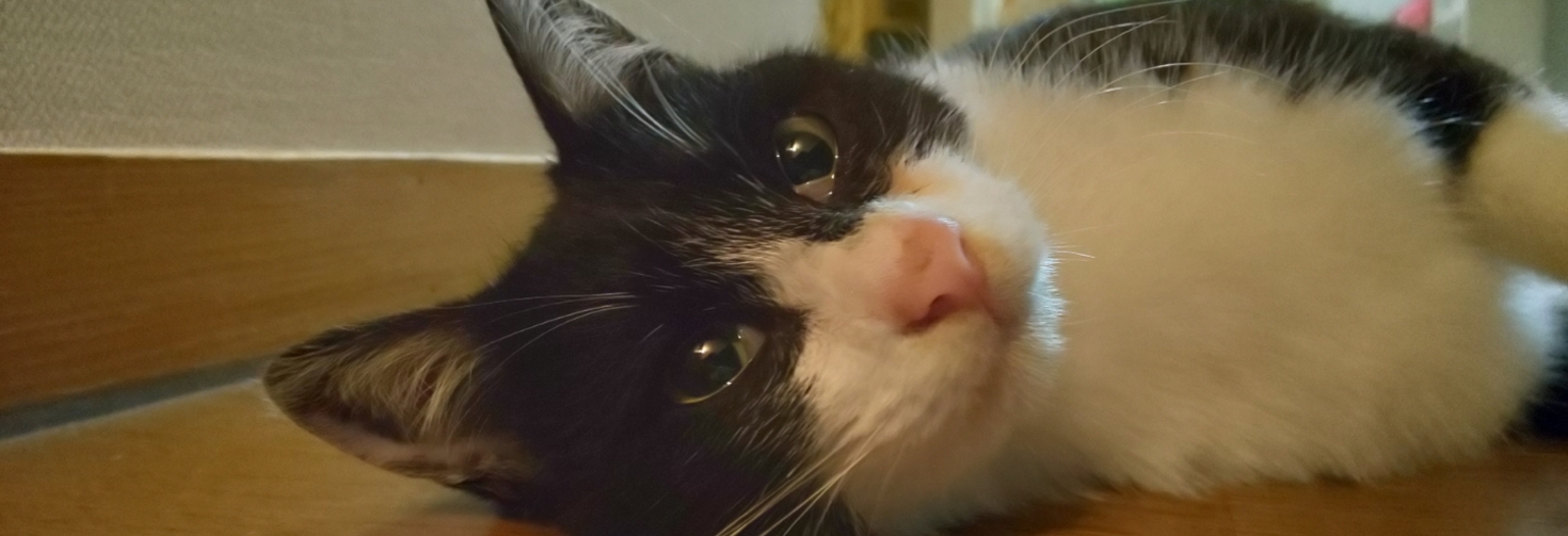 レビュアーのカバー画像