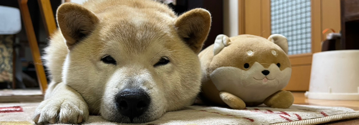 レビュアーのカバー画像