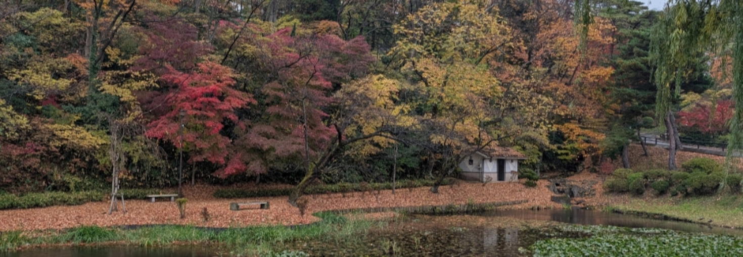 レビュアーのカバー画像