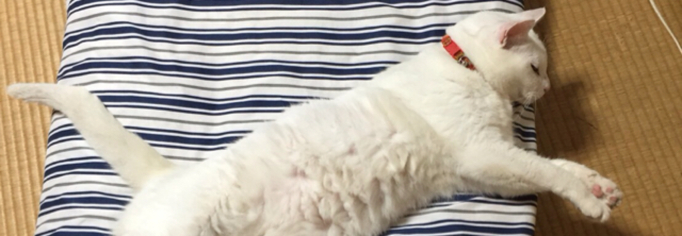 レビュアーのカバー画像