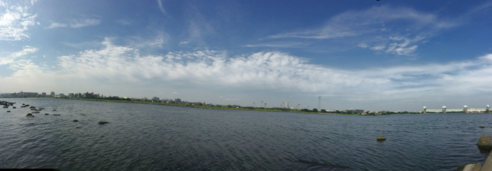 レビュアーのカバー画像