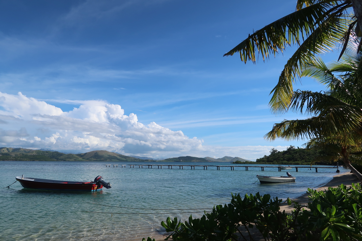 レビュアーのカバー画像