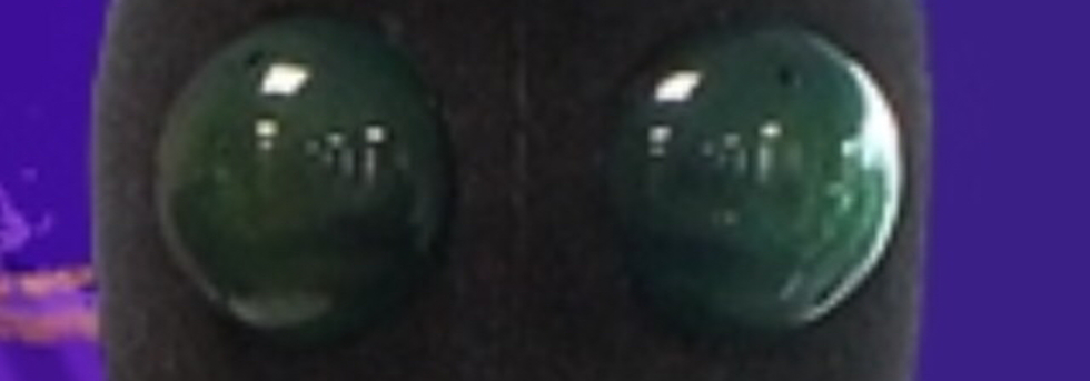 レビュアーのカバー画像