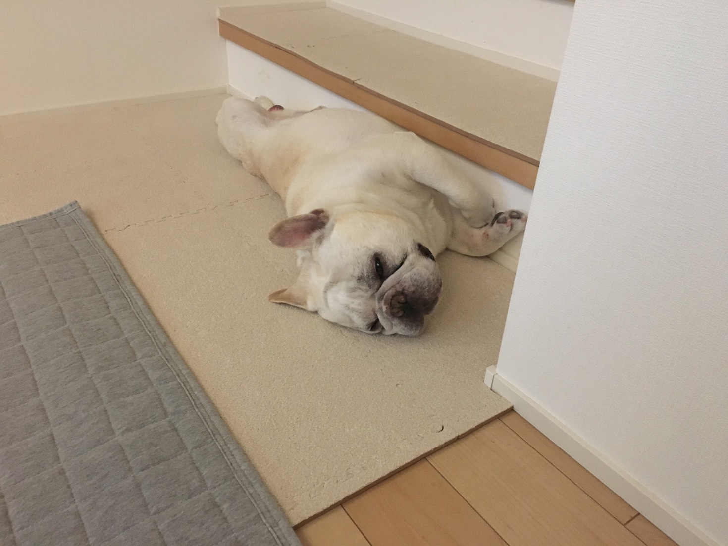 レビュアーのカバー画像