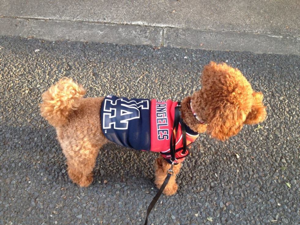 レビュアーのカバー画像