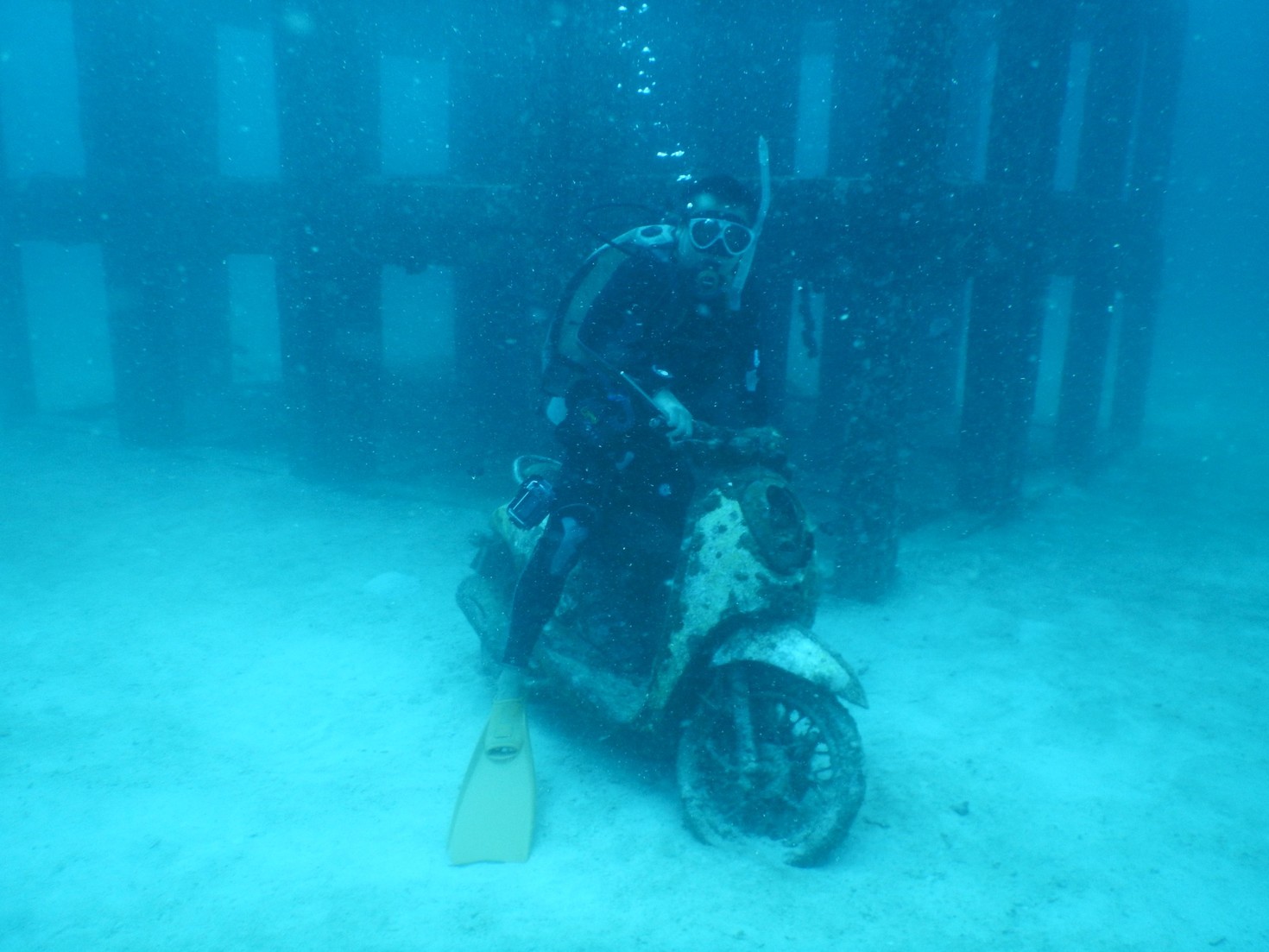 レビュアーのカバー画像