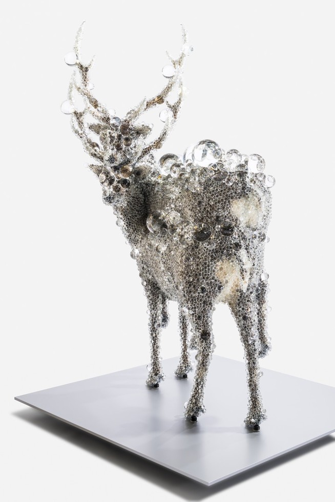 レビュアーのカバー画像