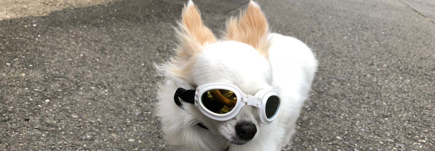 レビュアーのカバー画像