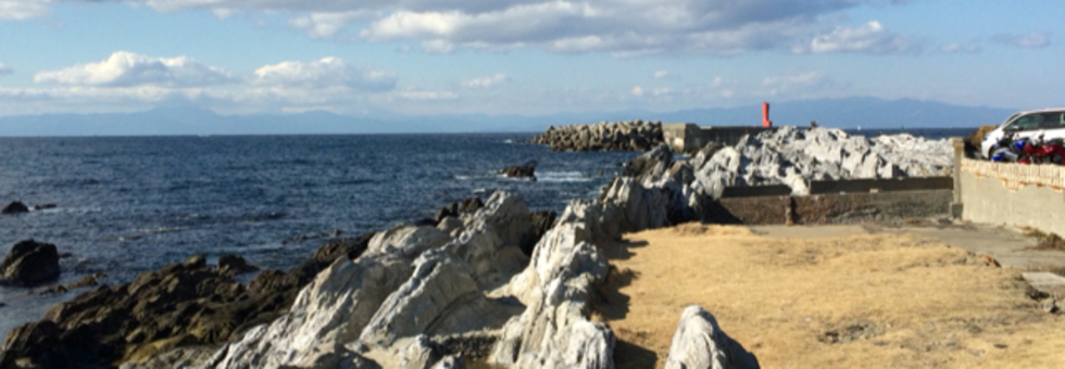 レビュアーのカバー画像