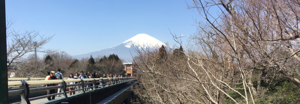 レビュアーのカバー画像