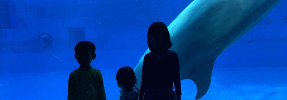 レビュアーのカバー画像