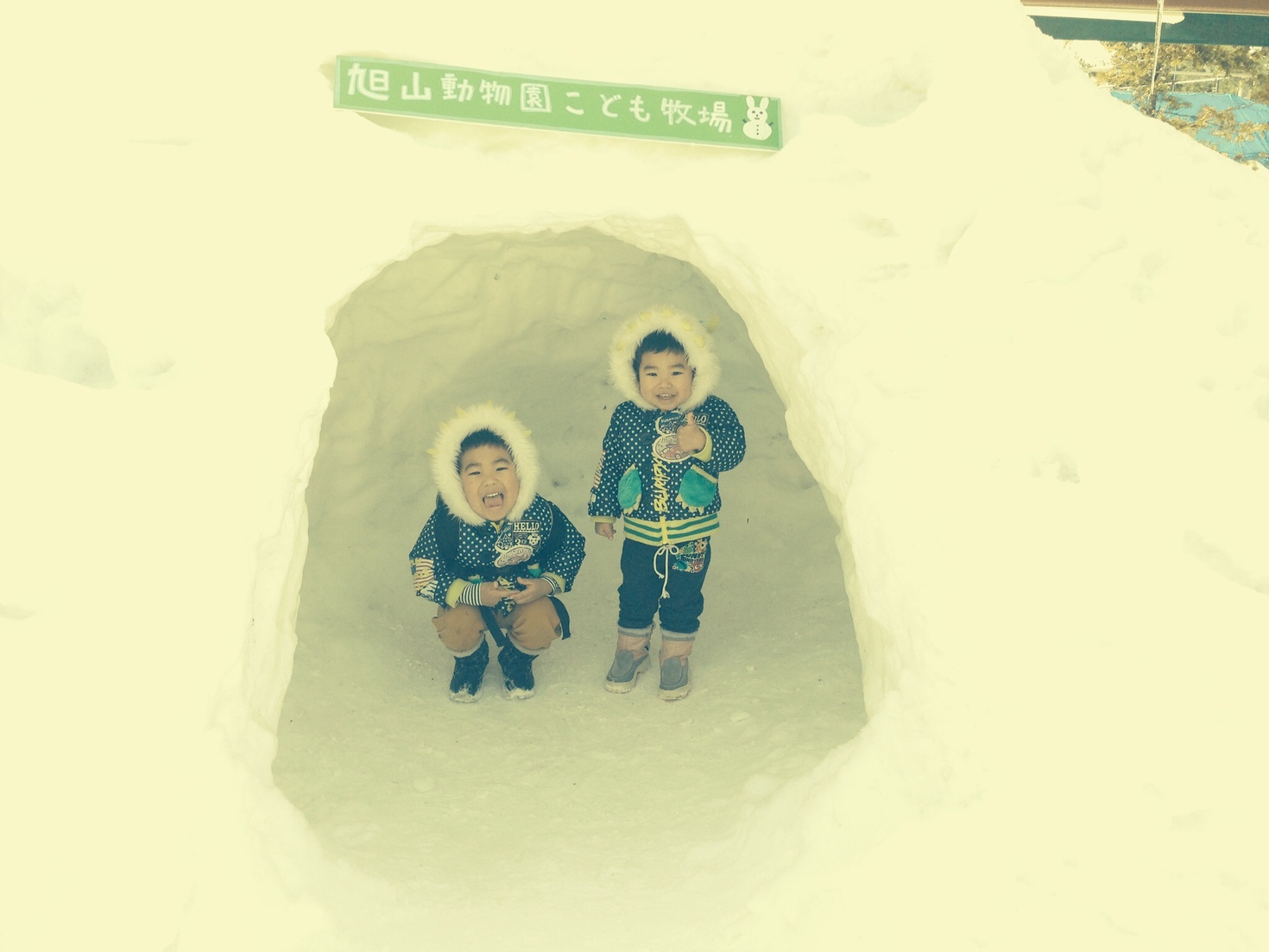 レビュアーのカバー画像