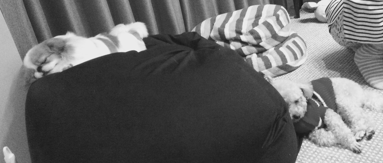 レビュアーのカバー画像