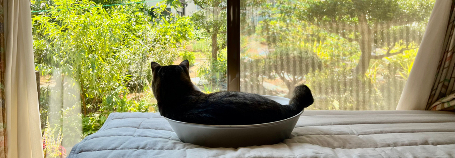 レビュアーのカバー画像