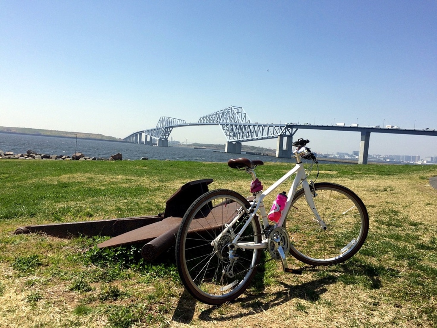 レビュアーのカバー画像