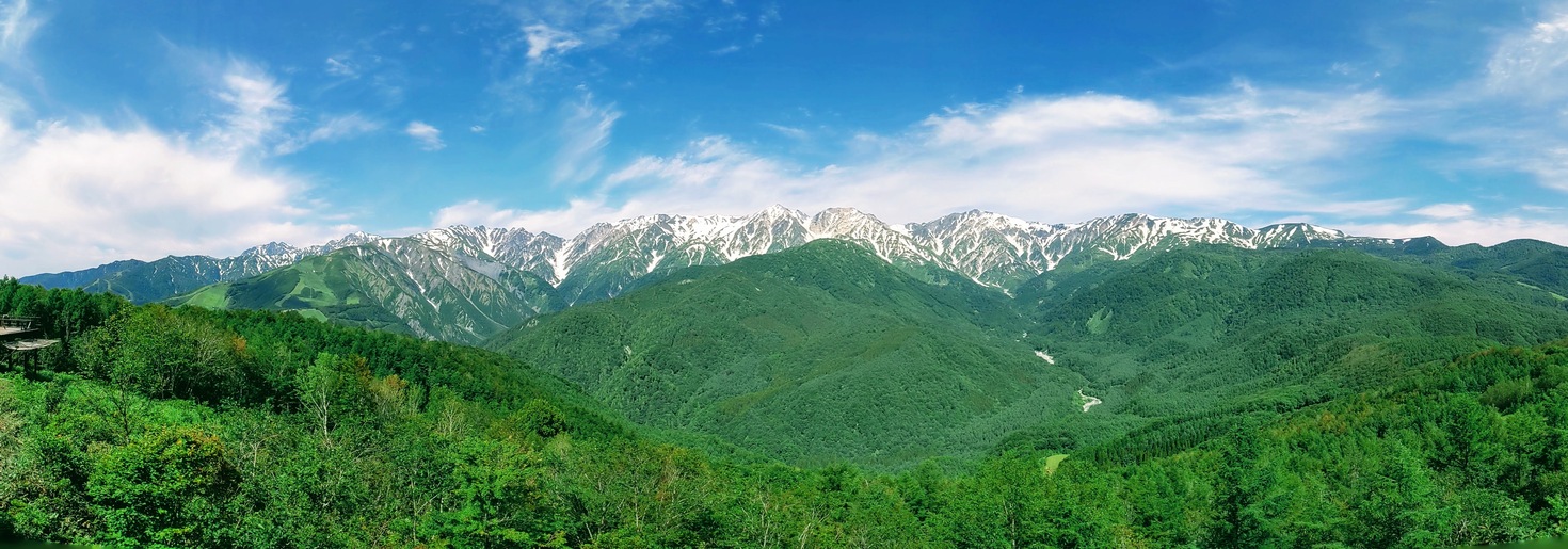 レビュアーのカバー画像