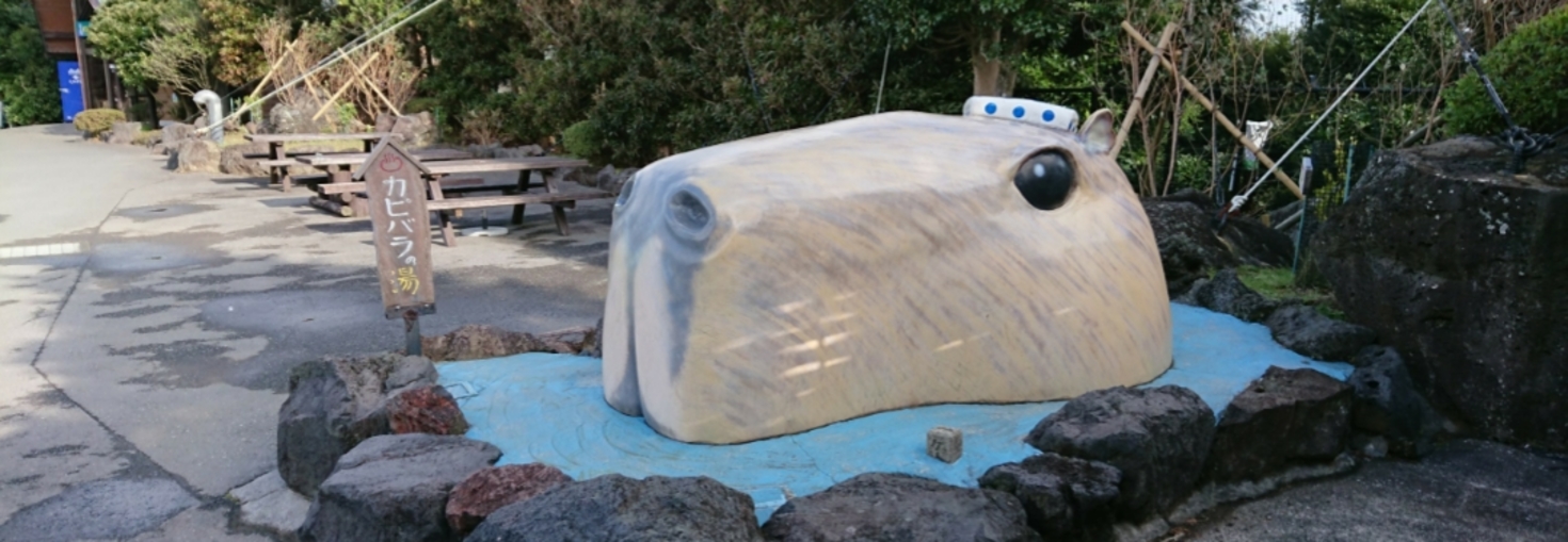 レビュアーのカバー画像