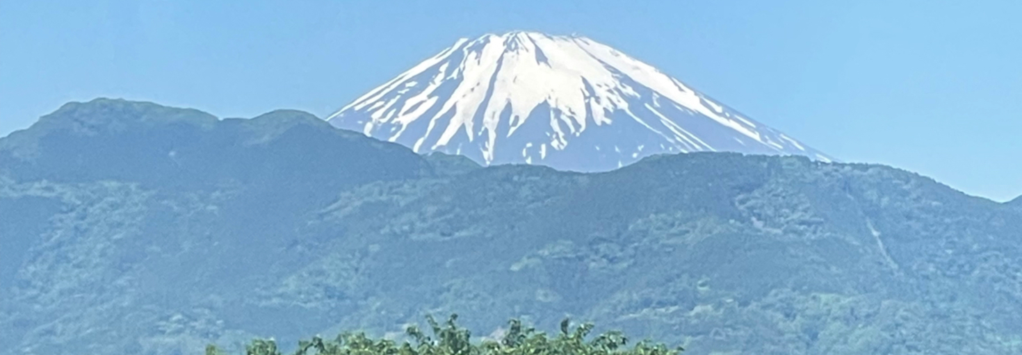 レビュアーのカバー画像