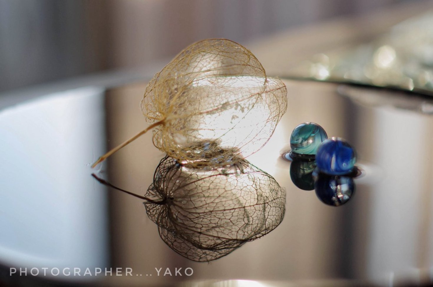 レビュアーのカバー画像