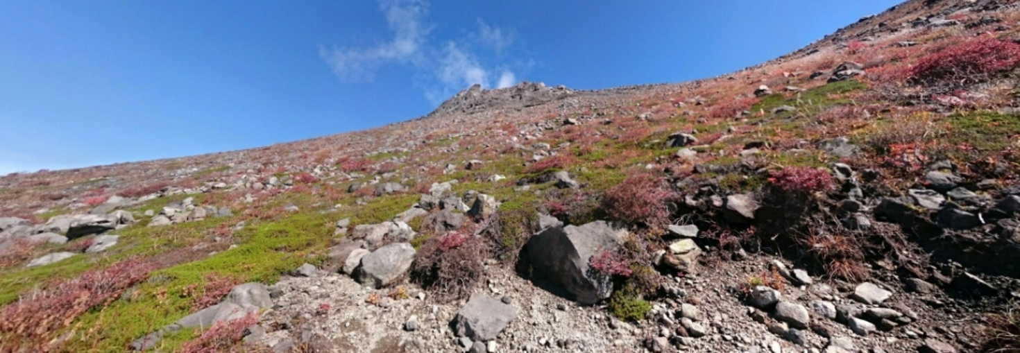 レビュアーのカバー画像