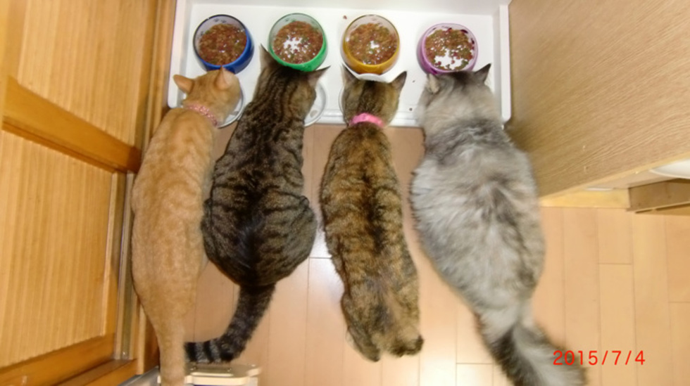 レビュアーのカバー画像