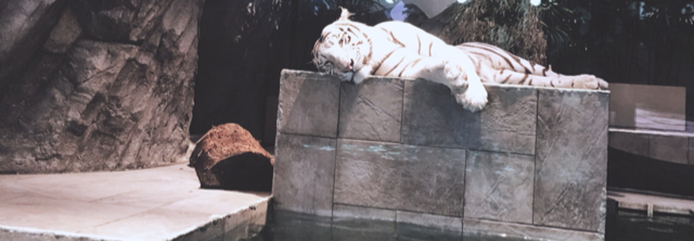 レビュアーのカバー画像