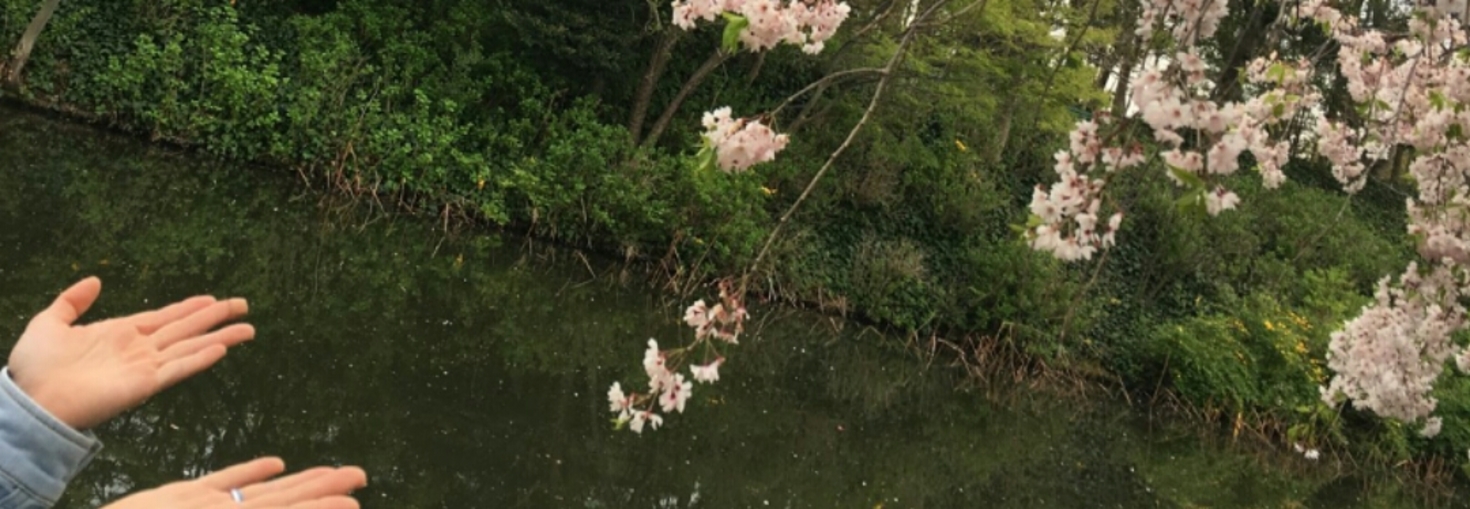 レビュアーのカバー画像