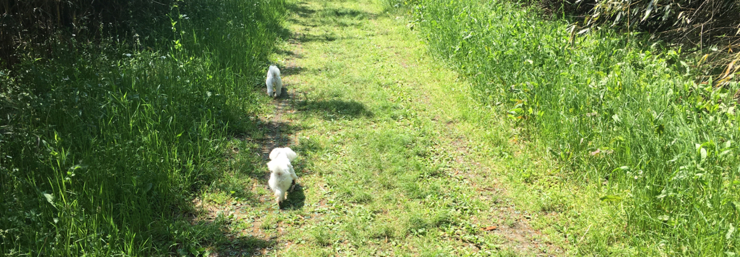 レビュアーのカバー画像