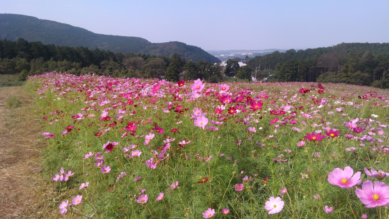 レビュアーのカバー画像