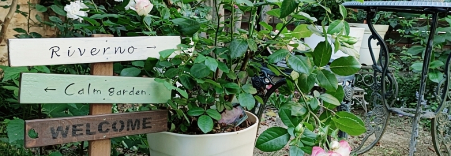 レビュアーのカバー画像