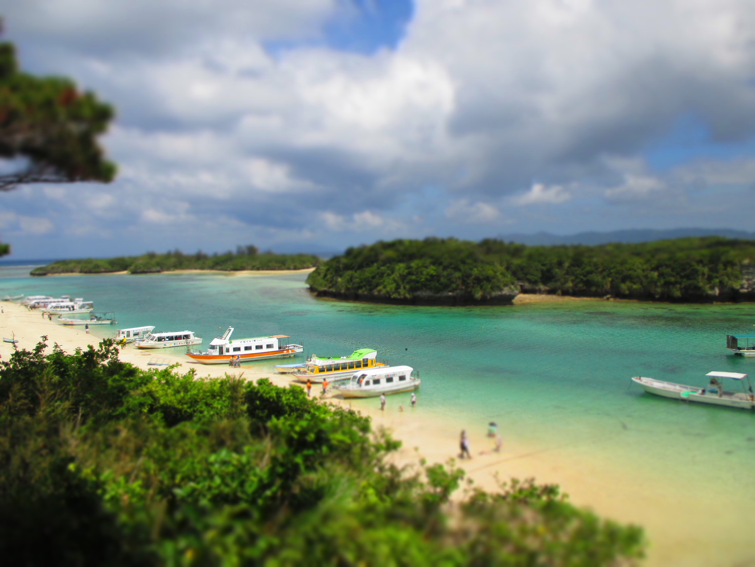 レビュアーのカバー画像