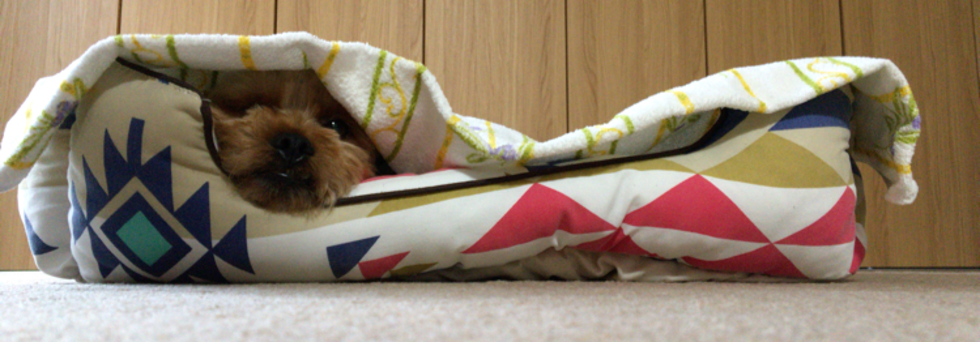 レビュアーのカバー画像