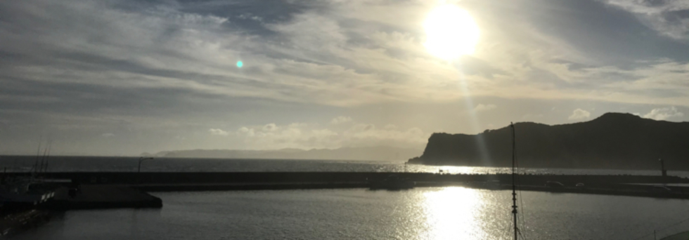 レビュアーのカバー画像