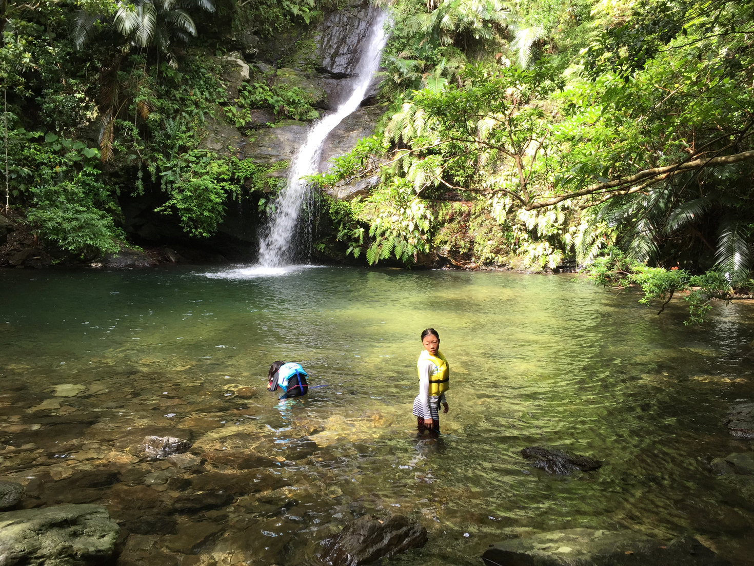 レビュアーのカバー画像