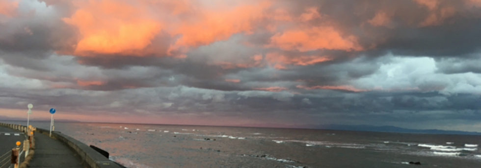 レビュアーのカバー画像