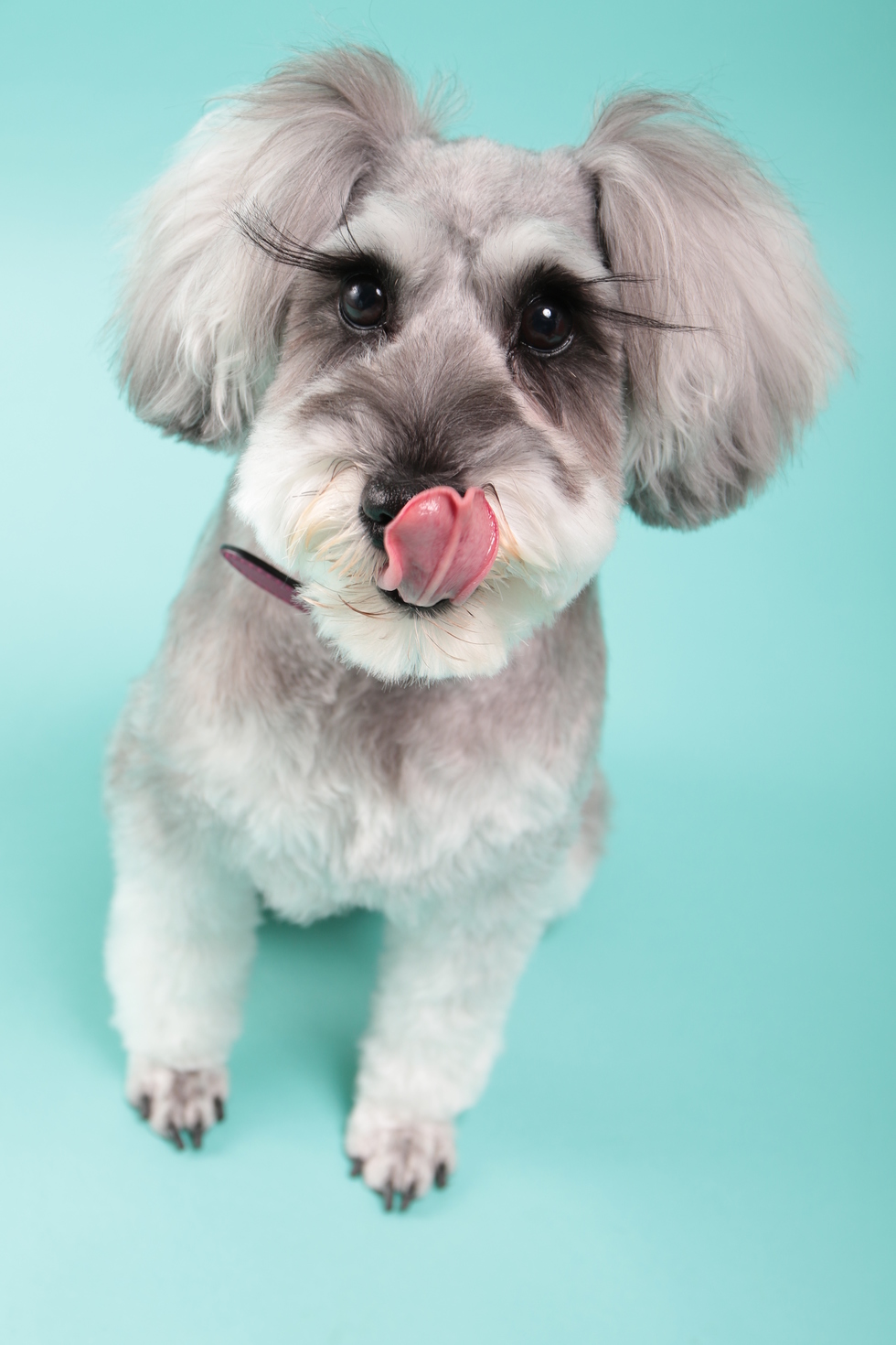 レビュアーのカバー画像