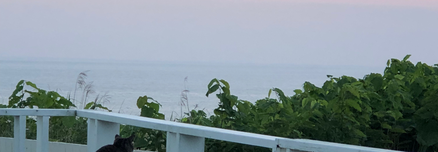 レビュアーのカバー画像