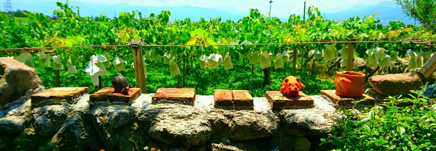 レビュアーのカバー画像