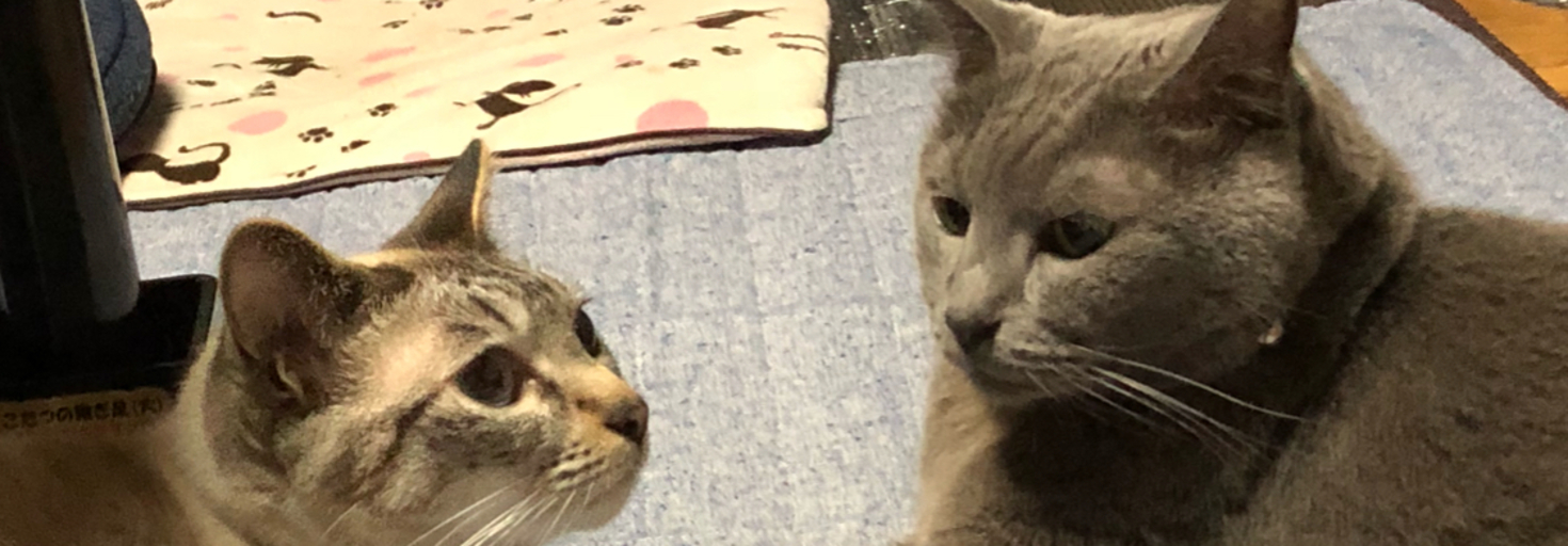 レビュアーのカバー画像