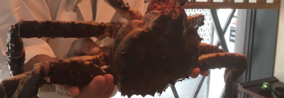 レビュアーのカバー画像