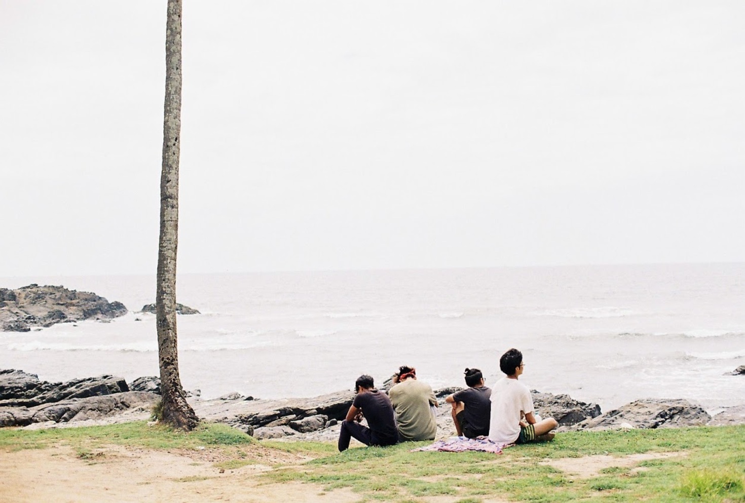 レビュアーのカバー画像