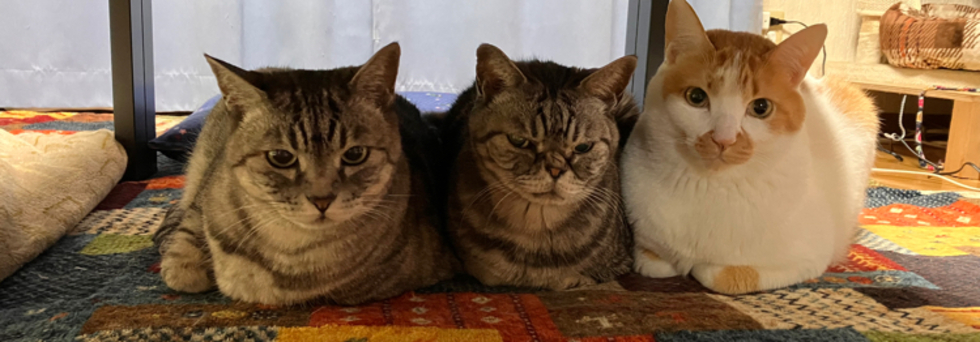 レビュアーのカバー画像