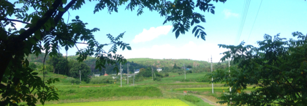 レビュアーのカバー画像