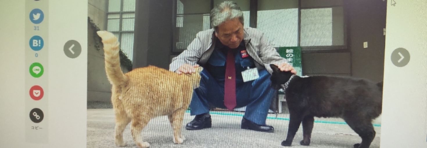 レビュアーのカバー画像