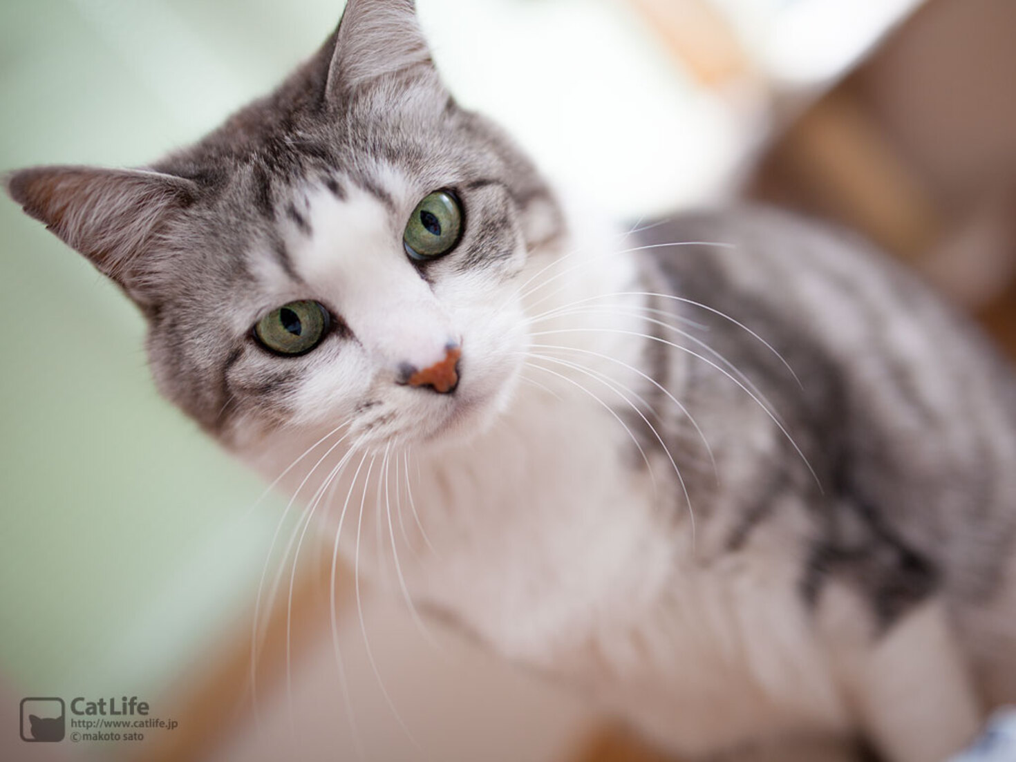 レビュアーのカバー画像