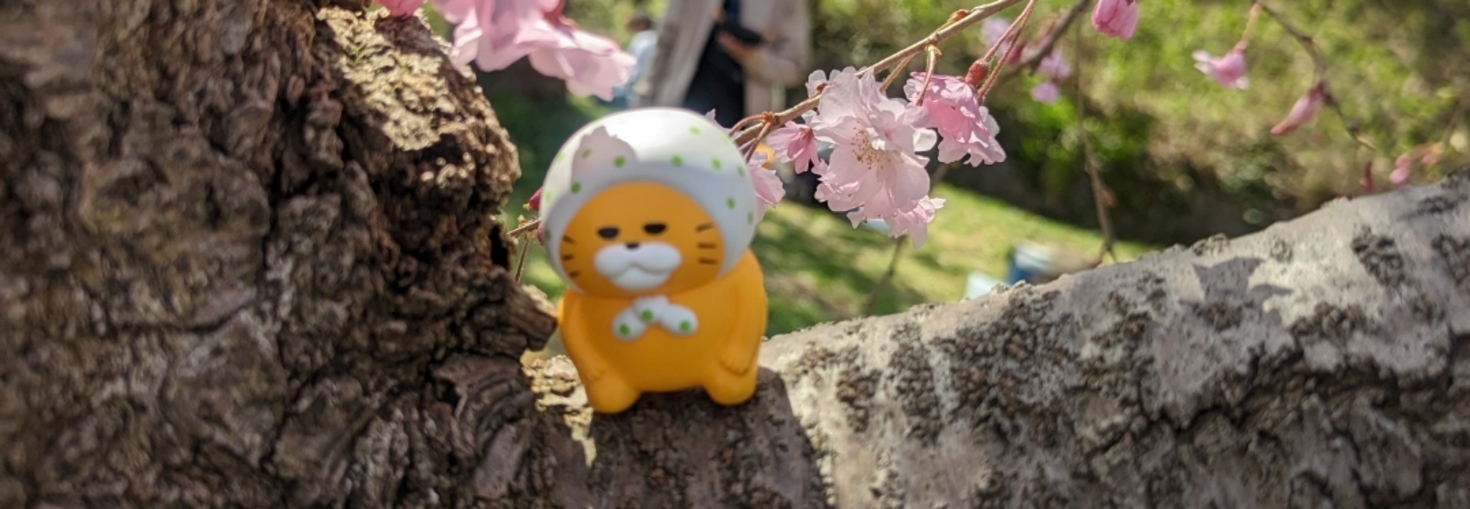 レビュアーのカバー画像